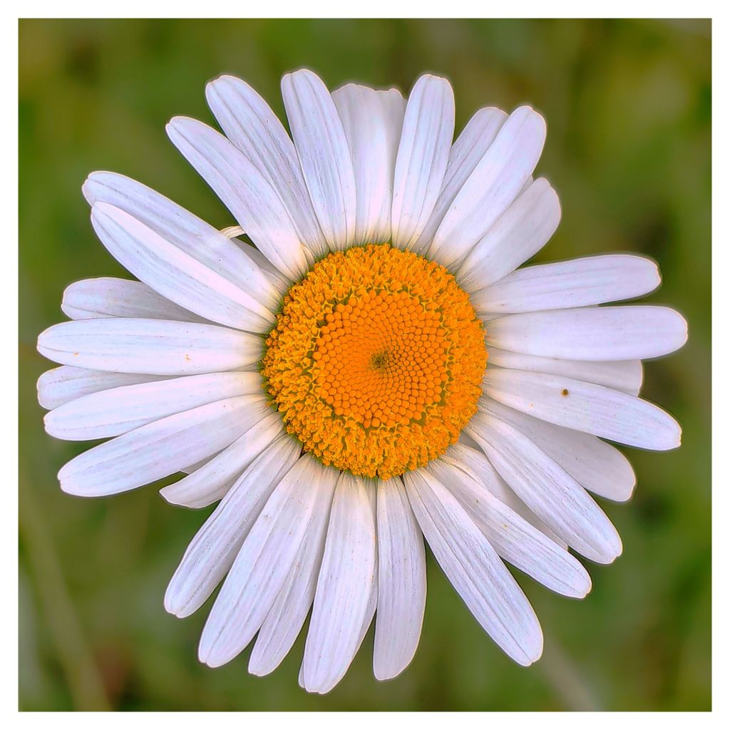 Fokus — der unterschätzte Superkraft-Button für Landschafts- und Naturfotografie