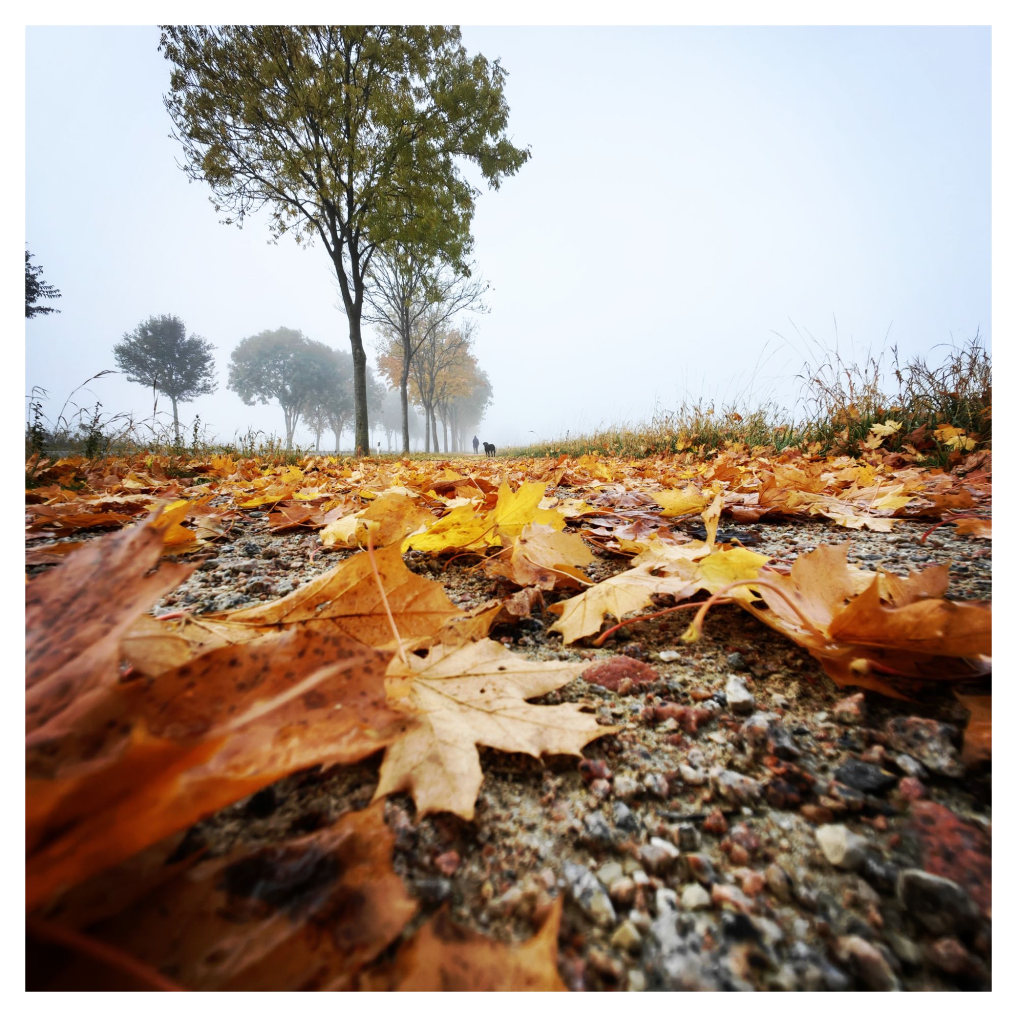 10 einfache Tipps für bessere Naturfotos — ohne teure Ausrüstung