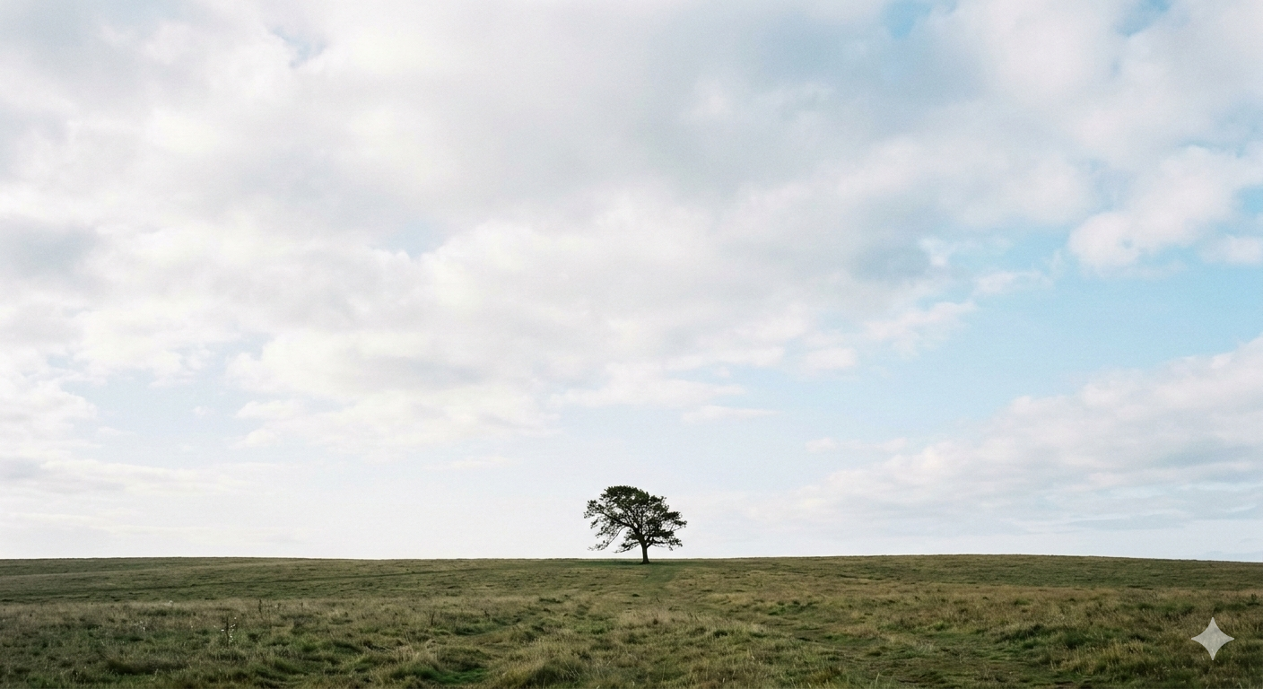 Minimalismus in der Naturfotografie – warum er sich gut verkauft