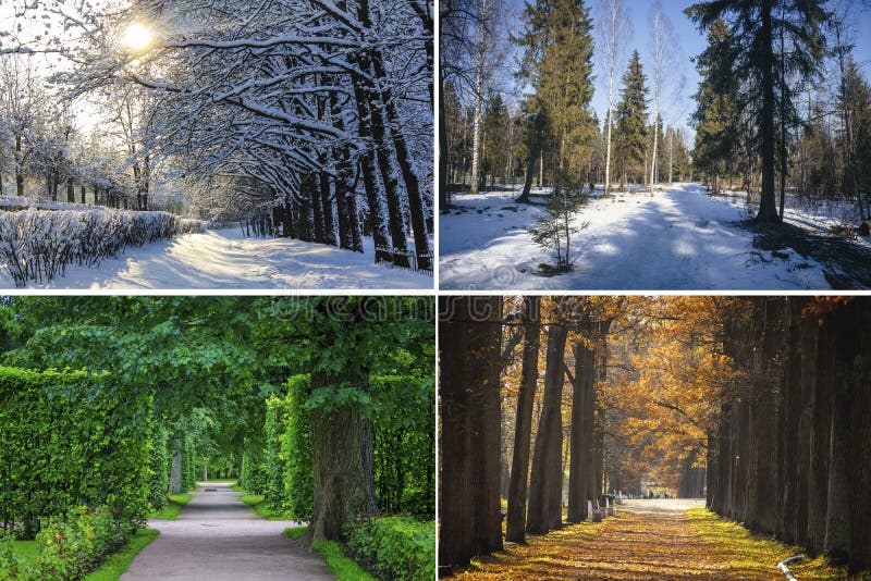 Jahreszeiten bewusst fotografieren: Frühling, Sommer, Herbst, Winter